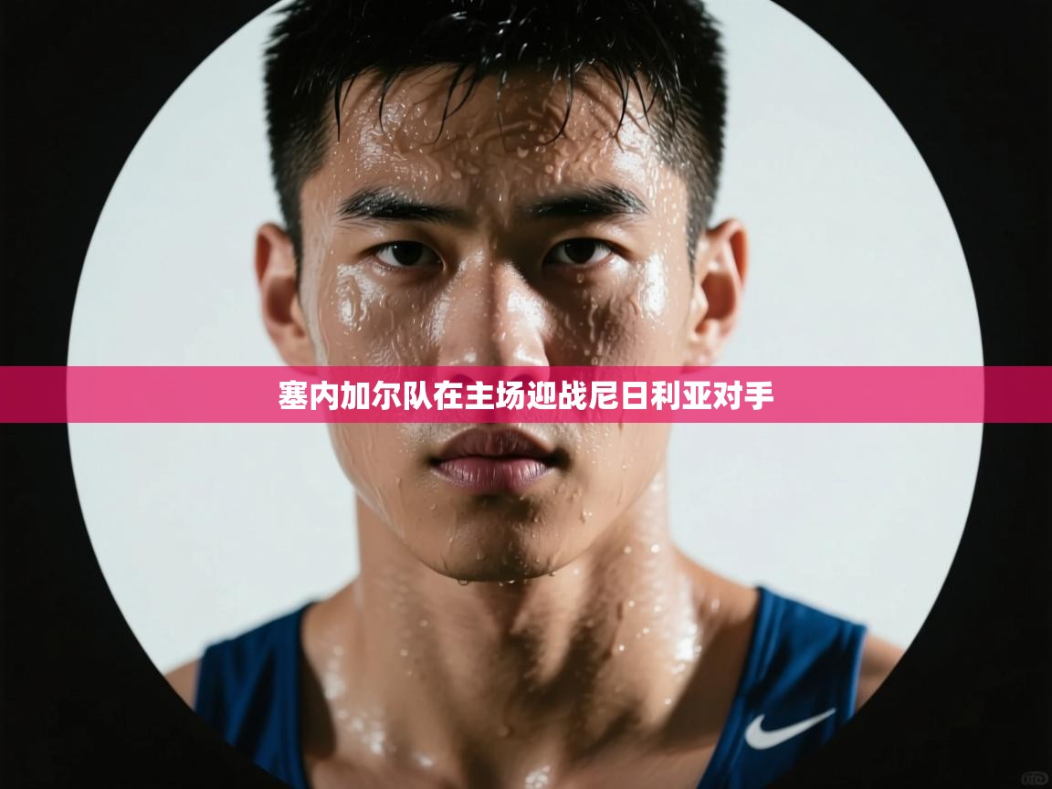 塞内加尔队在主场迎战尼日利亚对手  第1张